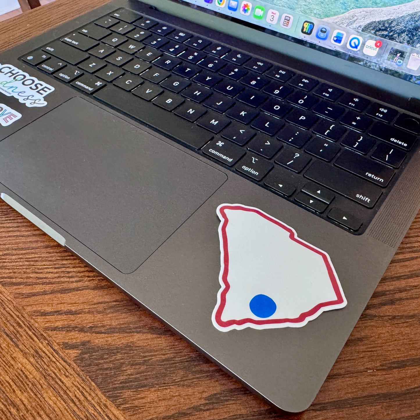 blue-dot-red-state-glossy-vinyl-sticker-indoor-outdoor-decal-charleston-south-carolina-democratic-activist-laptop-water-bottle-decor