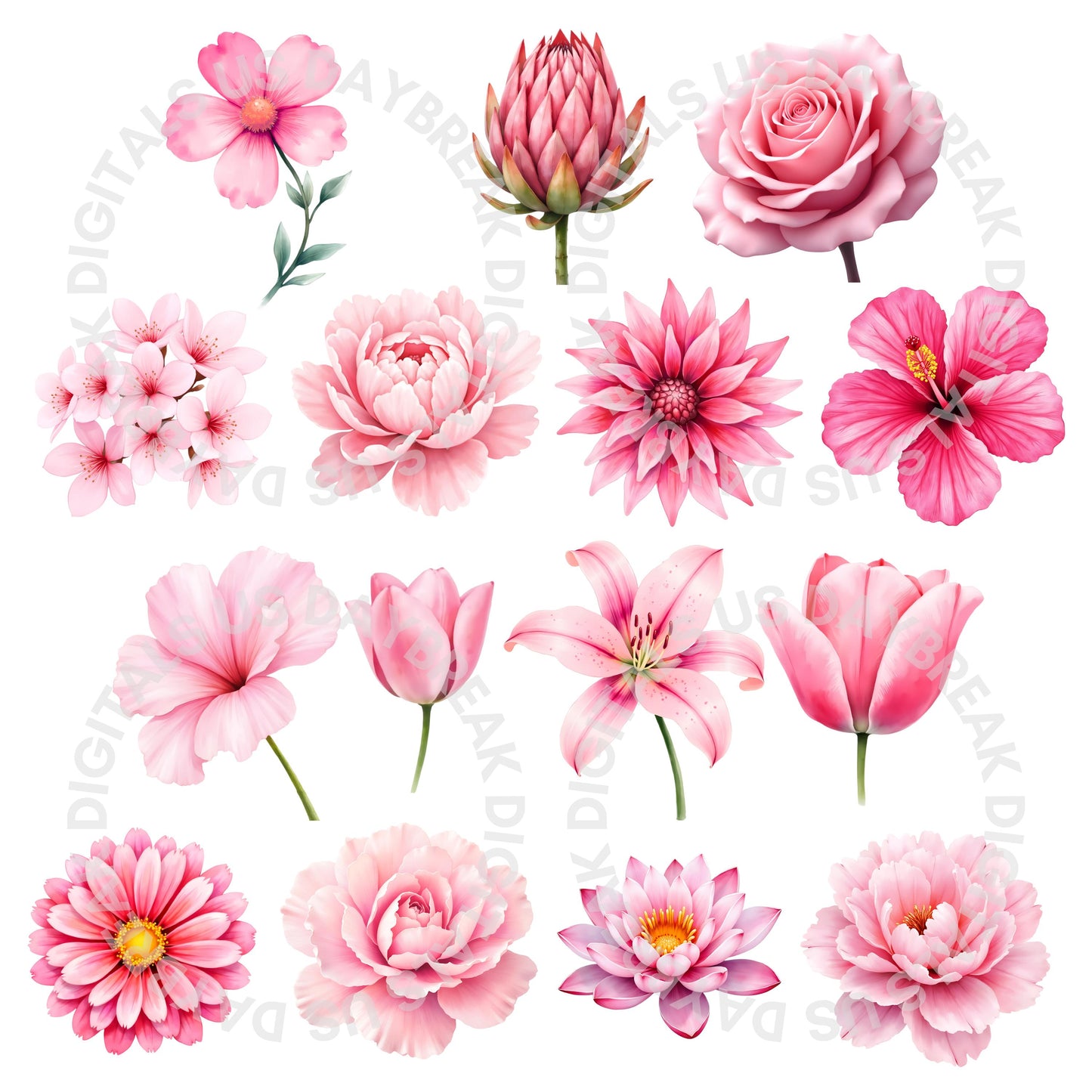 Watercolor Flowers Clipart Bundle | 105 Rainbow Floral Images (Digital Download, PNG, JPG)
