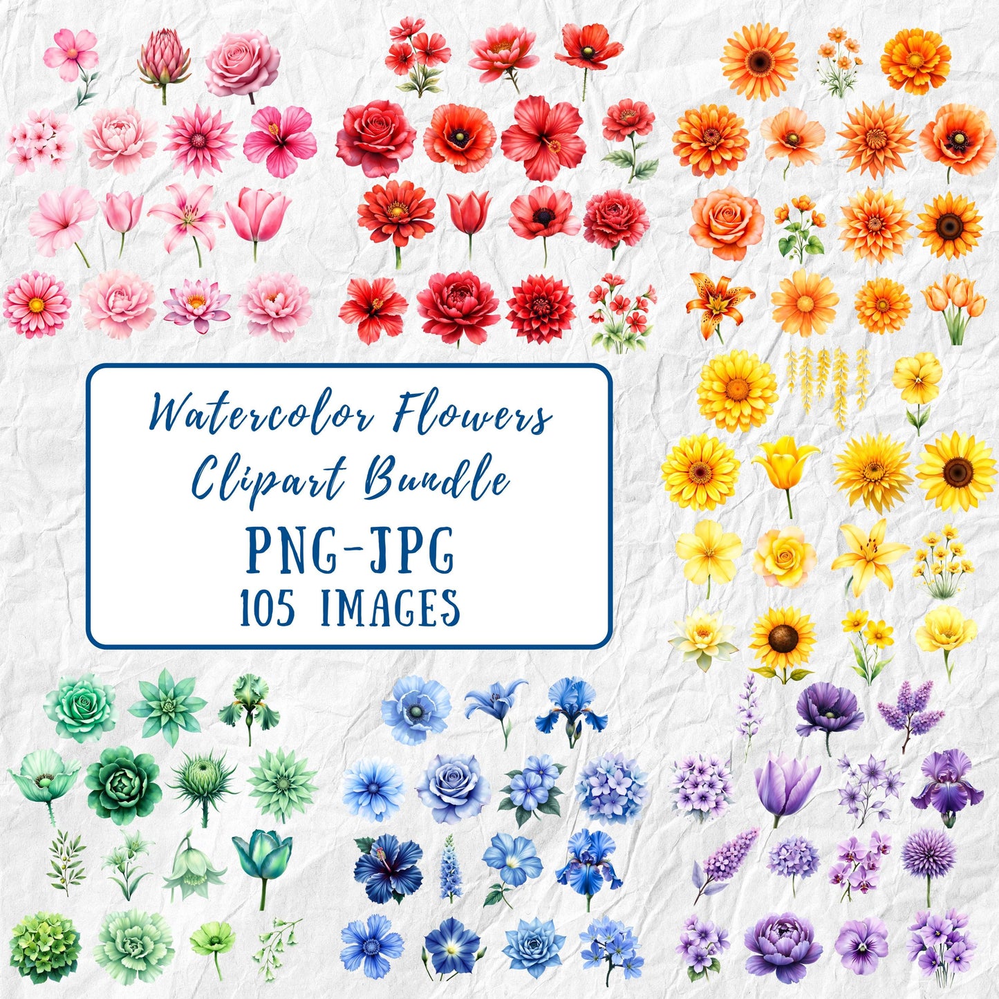 Watercolor Flowers Clipart Bundle | 105 Rainbow Floral Images (Digital Download, PNG, JPG)