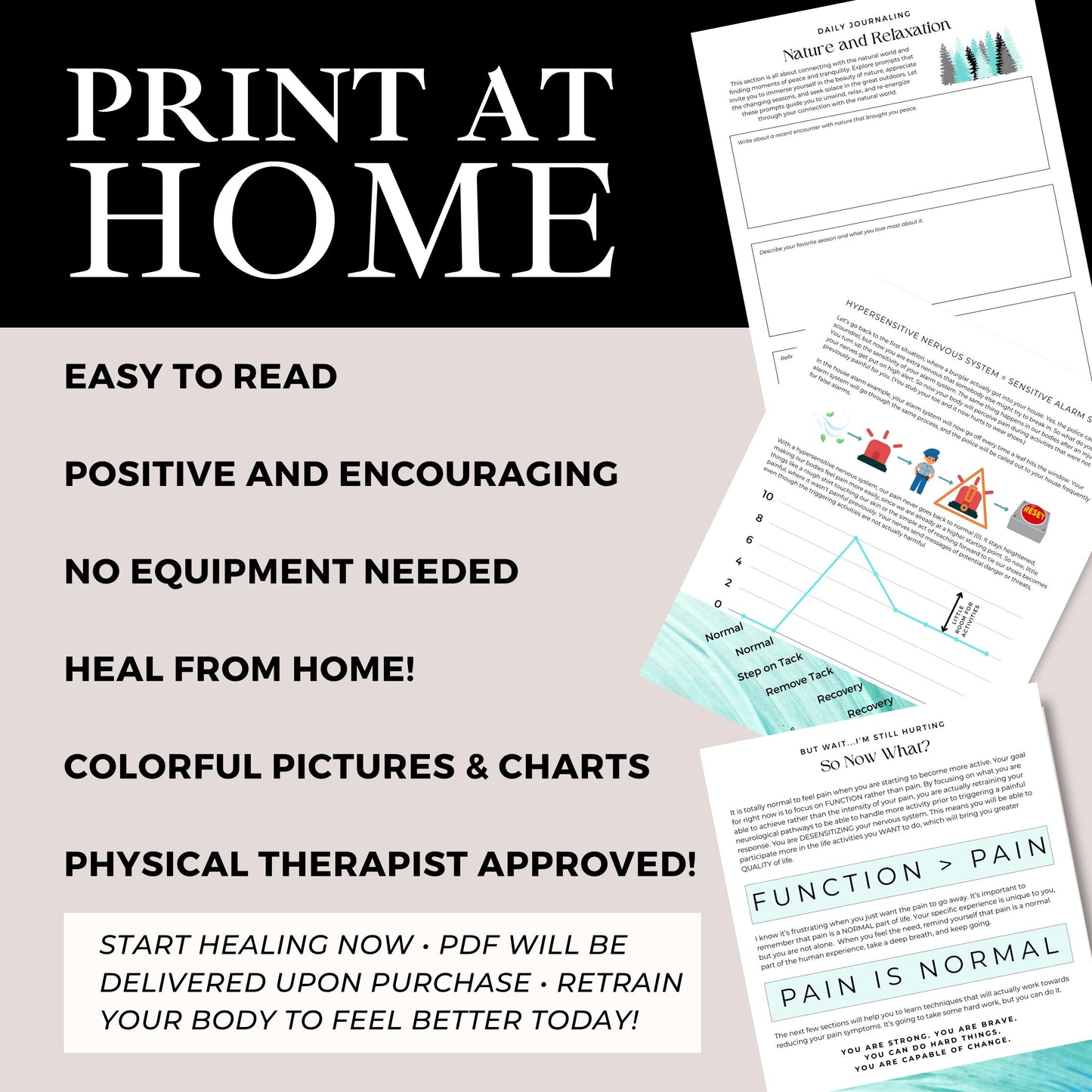 Chronic Pain Recovery Workbook | Heal Your Pain from Home (Digital Download)