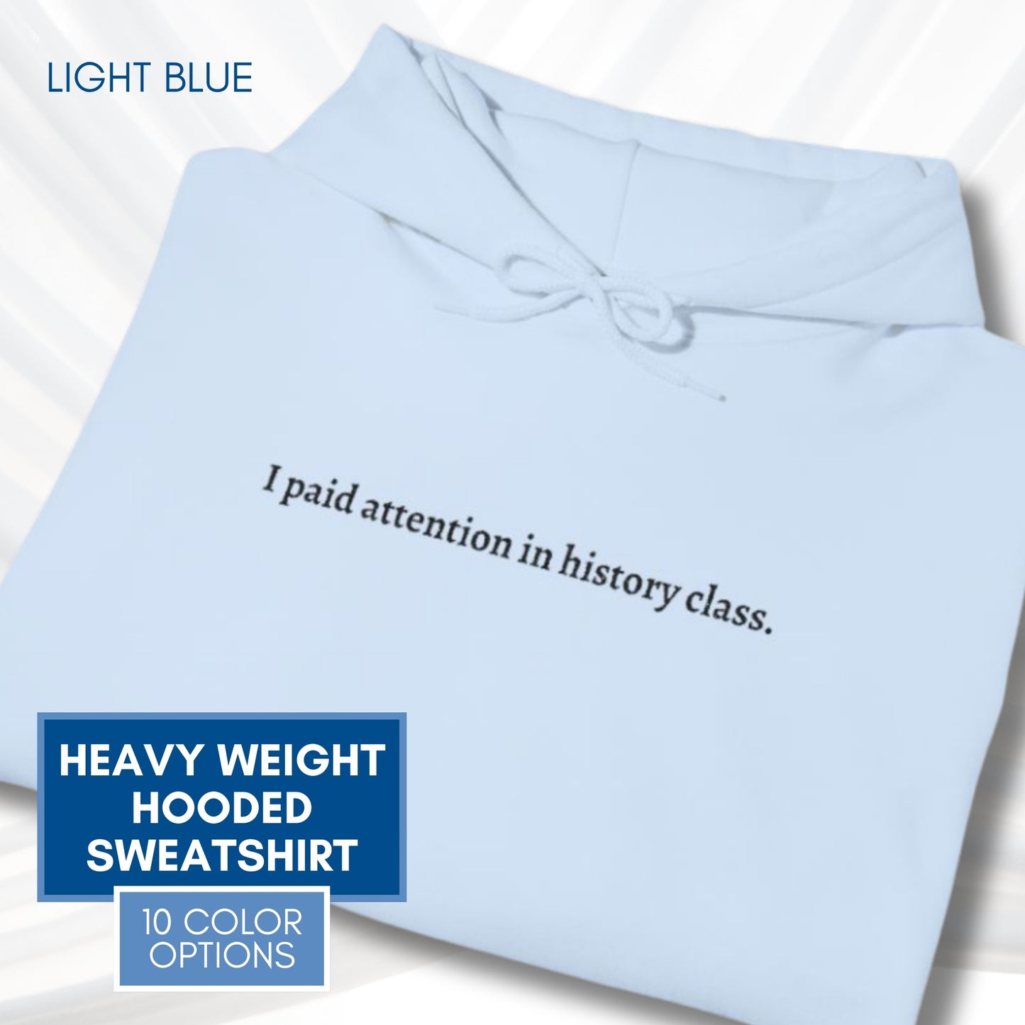 Political Activism Hoodie | Embroidered Unisex Hooded Sweatshirt, "I paid attention in history class."