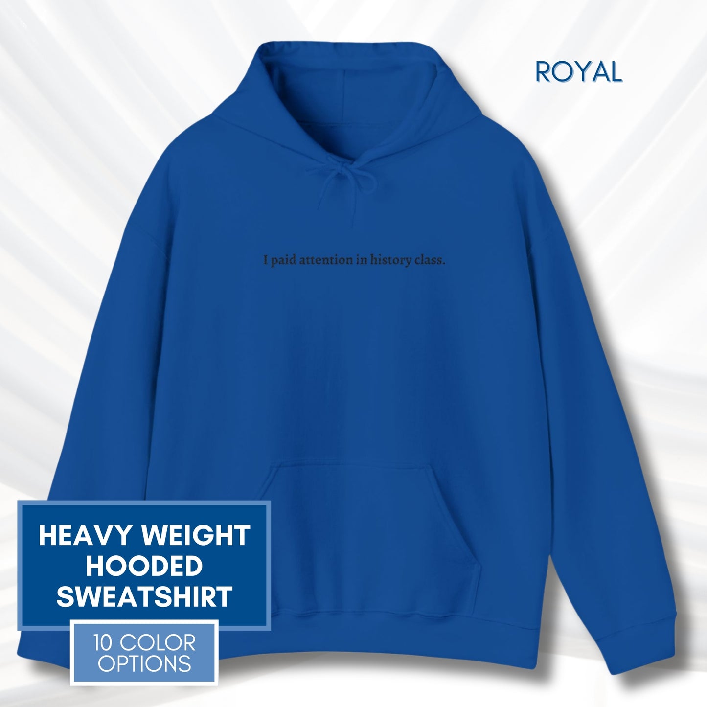 Political Activism Hoodie | Embroidered Unisex Hooded Sweatshirt, "I paid attention in history class."