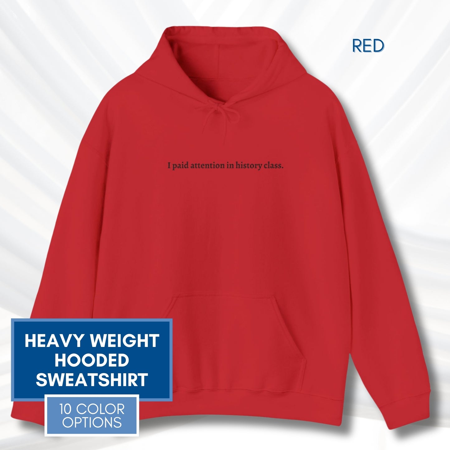 Political Activism Hoodie | Embroidered Unisex Hooded Sweatshirt, "I paid attention in history class."