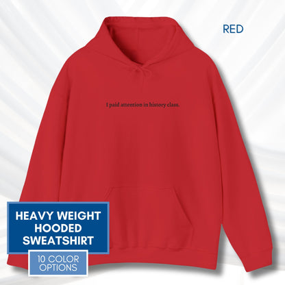 Political Activism Hoodie | Embroidered Unisex Hooded Sweatshirt, "I paid attention in history class."