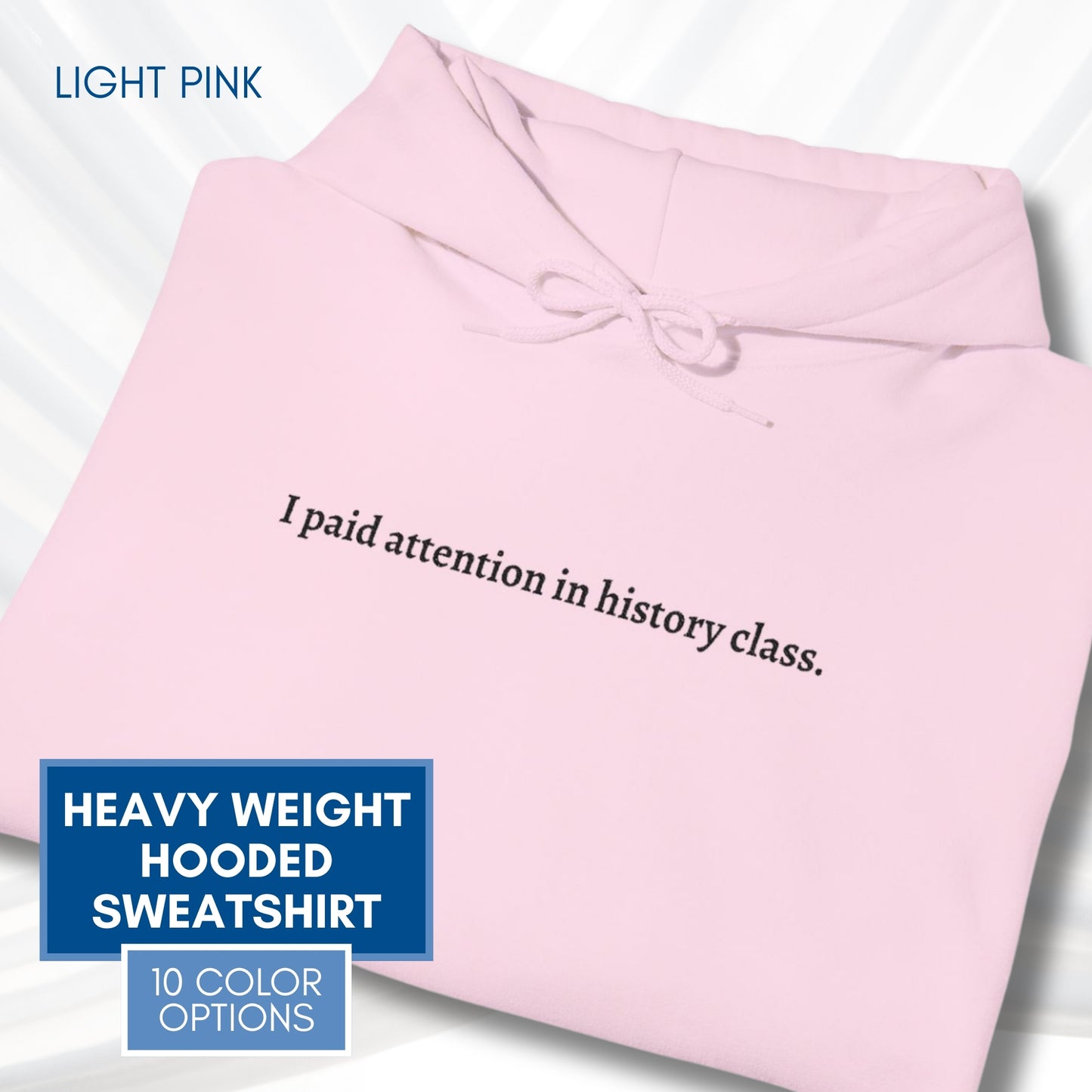 Political Activism Hoodie | Embroidered Unisex Hooded Sweatshirt, "I paid attention in history class."