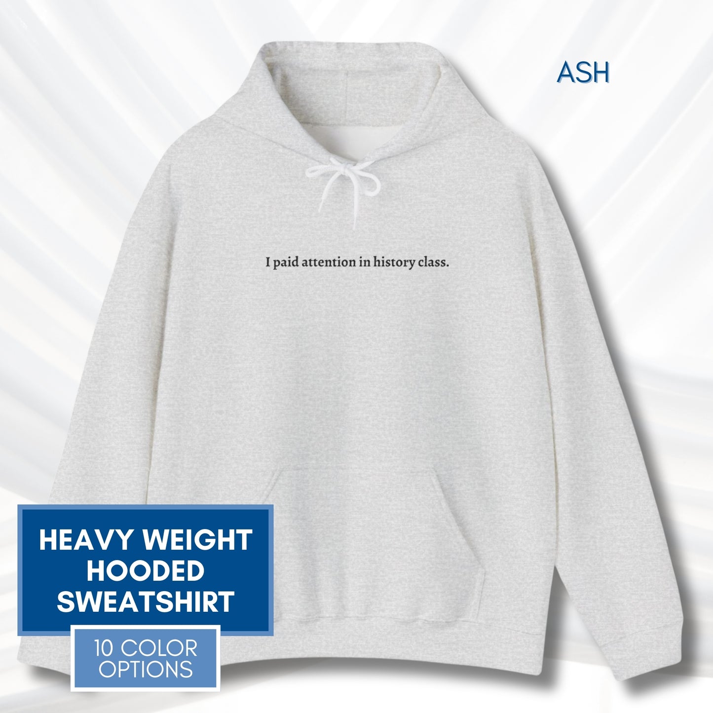 Political Activism Hoodie | Embroidered Unisex Hooded Sweatshirt, "I paid attention in history class."