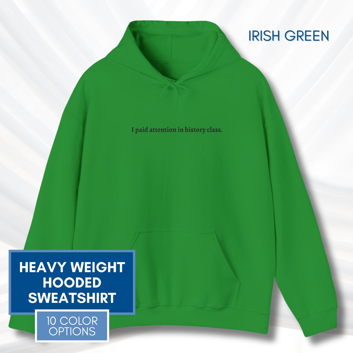 Political Activism Hoodie | Embroidered Unisex Hooded Sweatshirt, "I paid attention in history class."