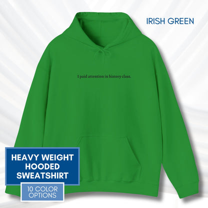 Political Activism Hoodie | Embroidered Unisex Hooded Sweatshirt, "I paid attention in history class."