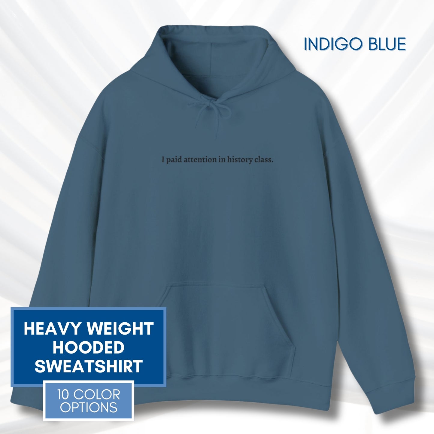 Political Activism Hoodie | Embroidered Unisex Hooded Sweatshirt, "I paid attention in history class."