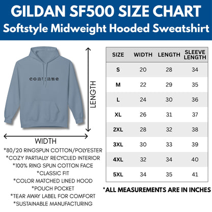 Continue Semi-Colon Hooded Sweatshirt | Suicide Prevention Hoodie, Mental Health Awareness
