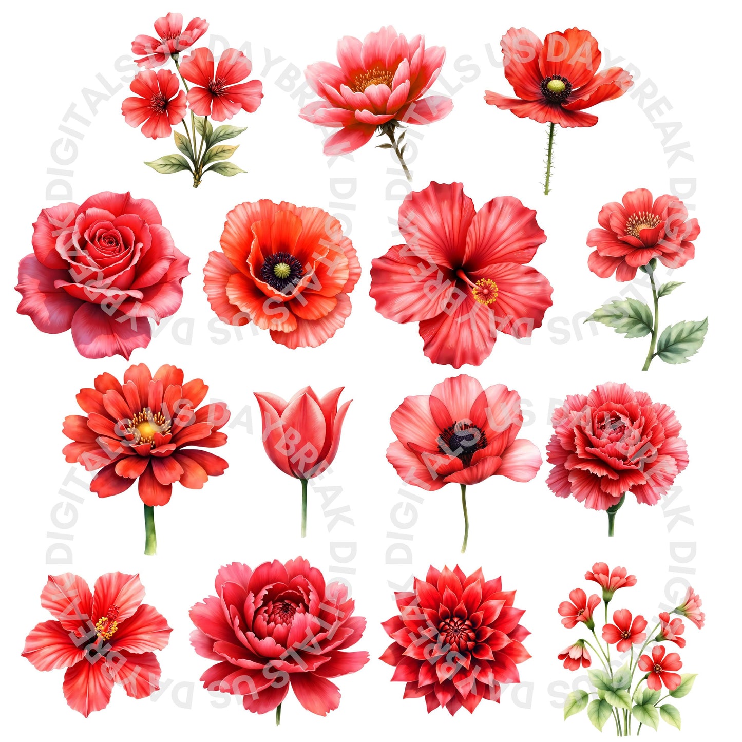 Watercolor Flowers Clipart Bundle | 105 Rainbow Floral Images (Digital Download, PNG, JPG)
