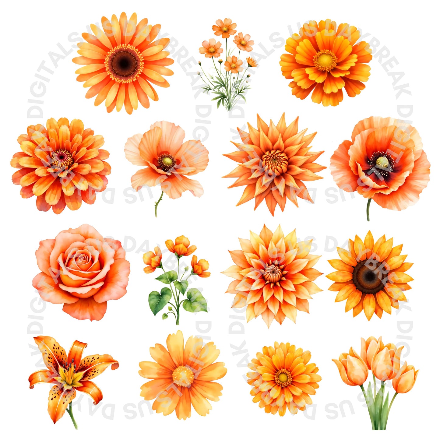 Watercolor Flowers Clipart Bundle | 105 Rainbow Floral Images (Digital Download, PNG, JPG)