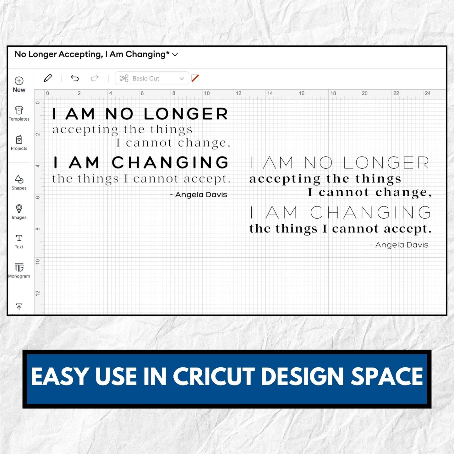 Angela Davis Quote Clipart Bundle | Be the Change Political Activism (Digital Download)