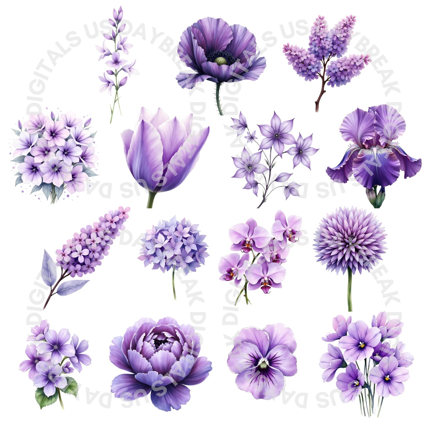 Watercolor Flowers Clipart Bundle | 105 Rainbow Floral Images (Digital Download, PNG, JPG)