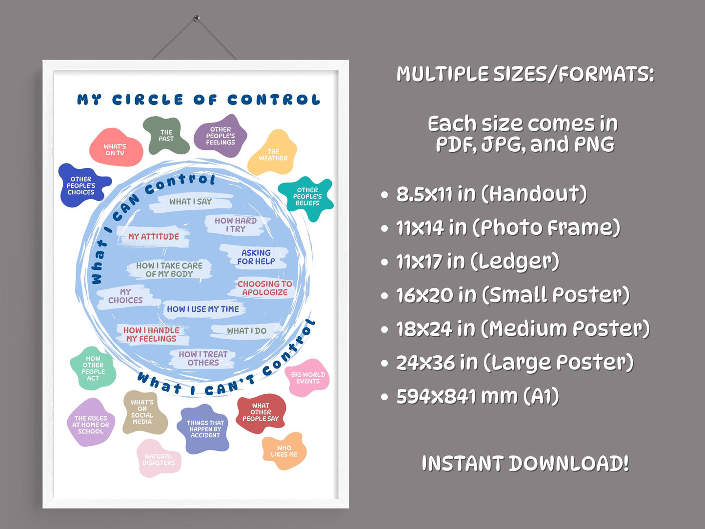 Circle of Control Poster: Kids Therapy Tool, Social Emotional Learning (Digital Download, Printable Worksheet)