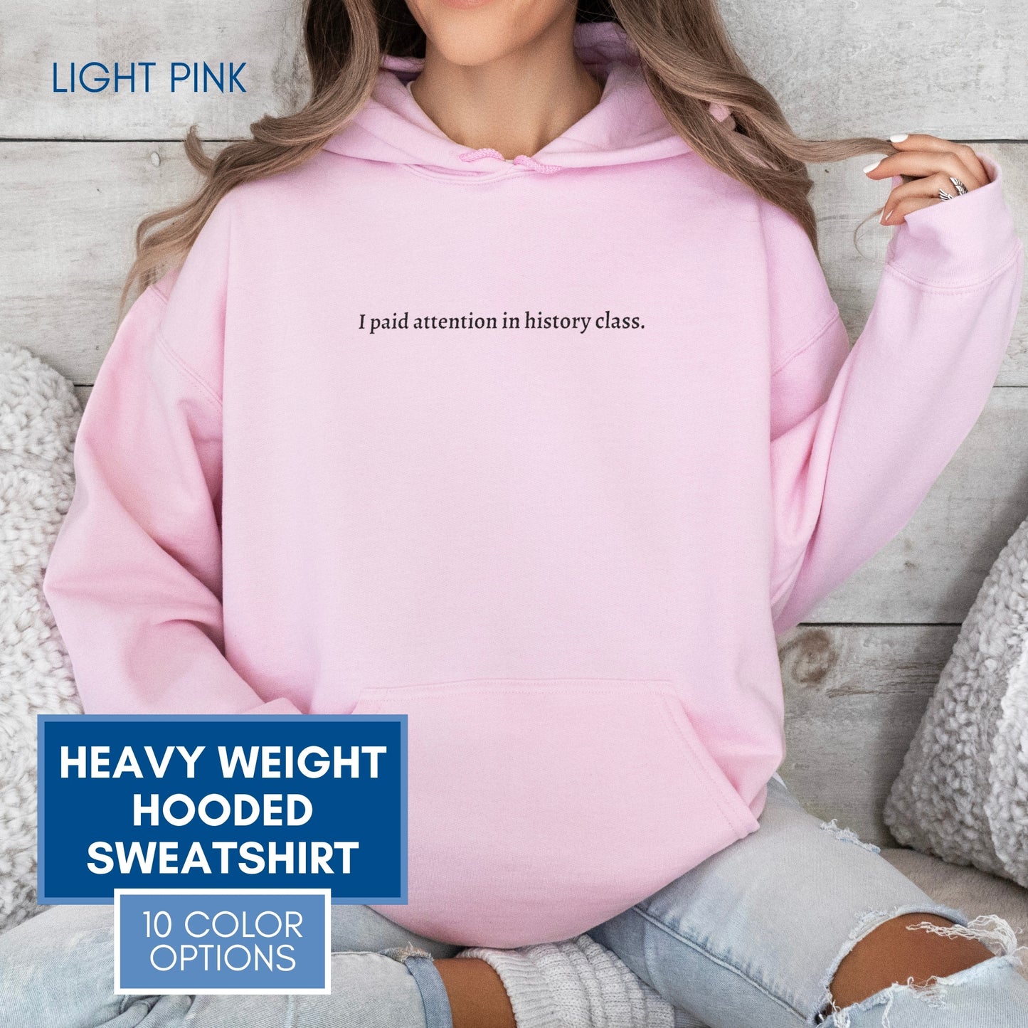 Political Activism Hoodie | Embroidered Unisex Hooded Sweatshirt, "I paid attention in history class."