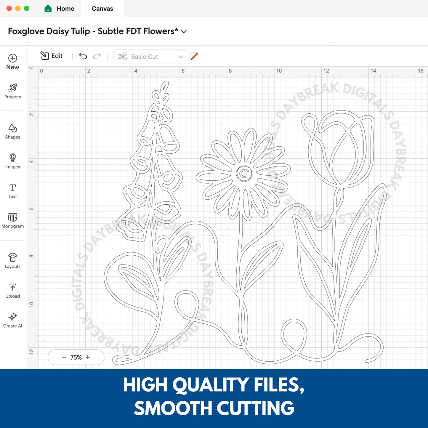 Subtle FDT Flowers Hand Drawn Clipart Bundle | Foxglove Daisy Tulip (Digital Download)