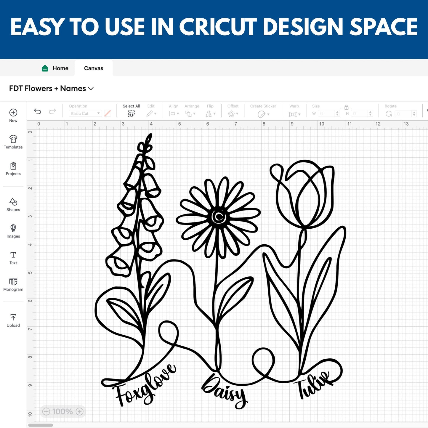 Subtle FDT Flowers Line Art Clipart | Foxglove, Daisy, Tulip (Instant Download, svg, png, jpg)