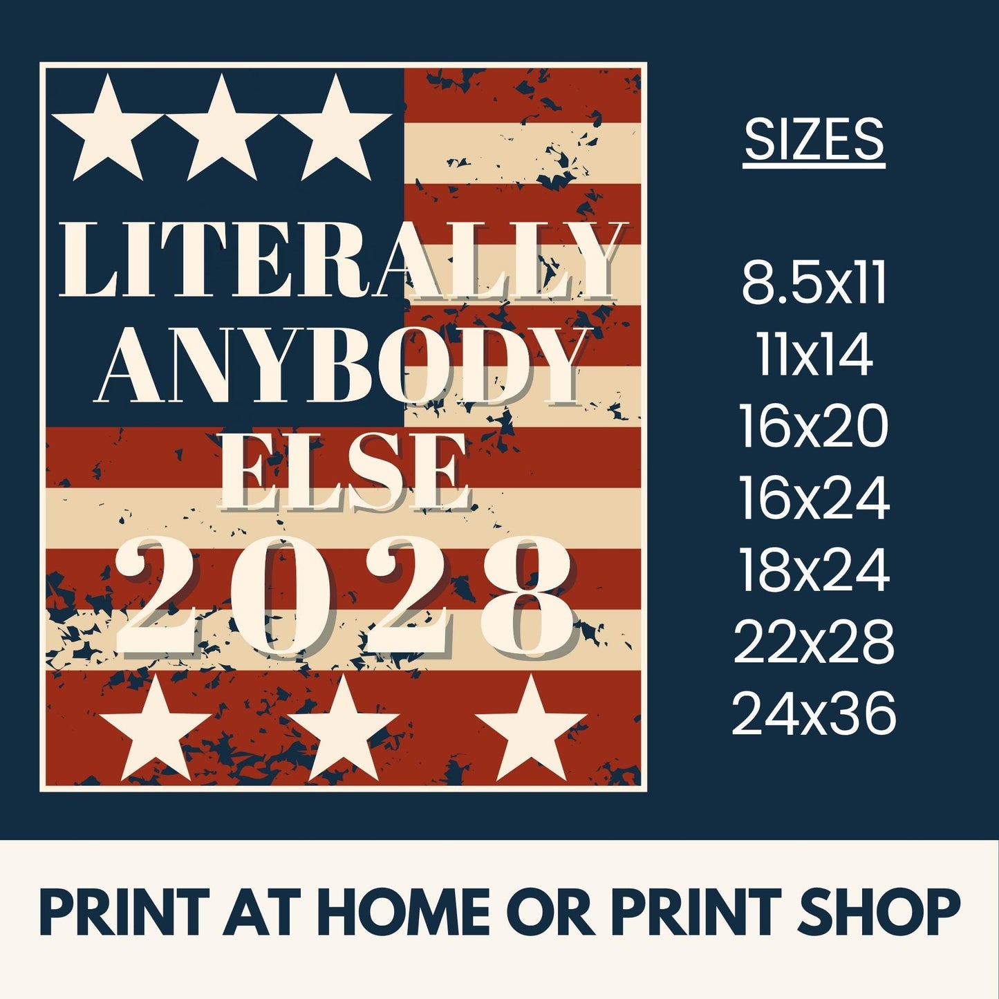 Literally Anybody Else 2028 Printable Protest Sign | Anti-Trump Campaign Poster (Digital Download)